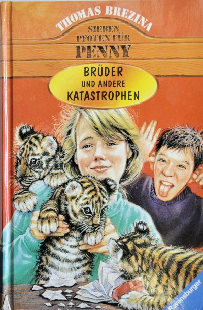 Copertina  Brüder und andere Katastrophen