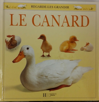 Copertina  Le canard