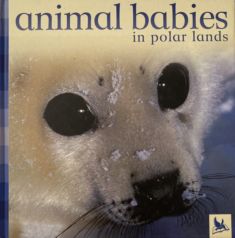 Copertina  Animal babies in polar lands