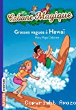 Copertina  Grosse vagues à Hawaï