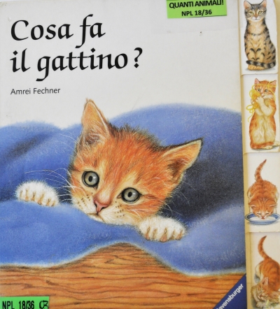 Copertina  Cosa fa il gattino?