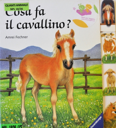 Copertina  Cosa fa il cavallino?