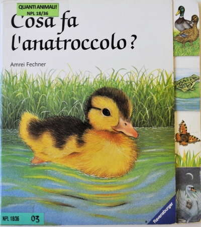 Copertina  Cosa fa l'anatroccolo?