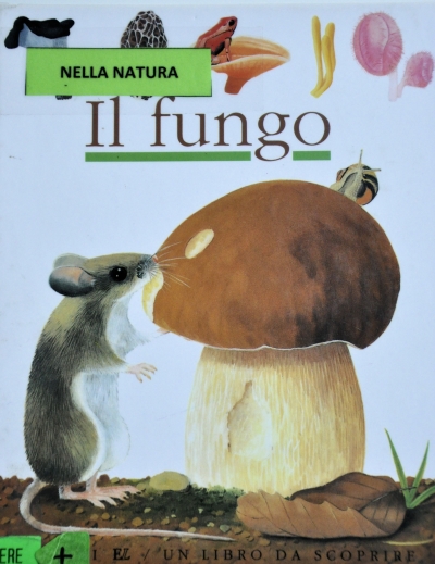 Copertina  Il fungo
