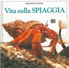 Copertina  Vita sulla spiaggia